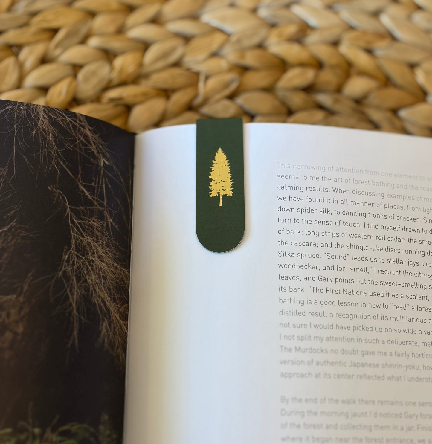 Blue Spruce Tree Gold Foil Magnetic Bookmark | Forest Gift