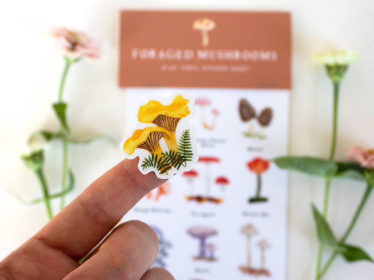 4'' x 6'' Foraged Mushroom Sticker Sheet