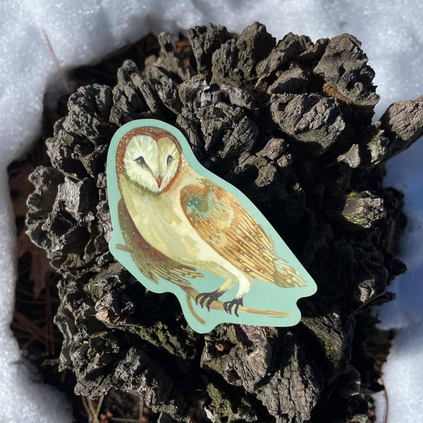 Canyon & Cove Art - Forest Barn Owl Sticker