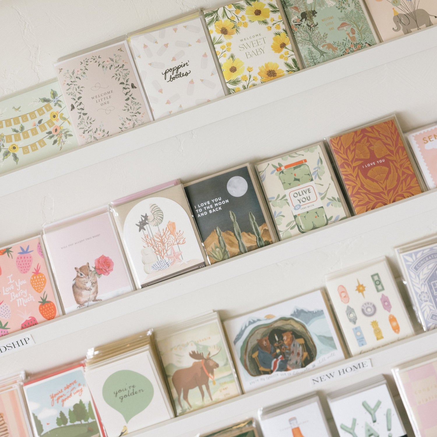 Greeting Cards