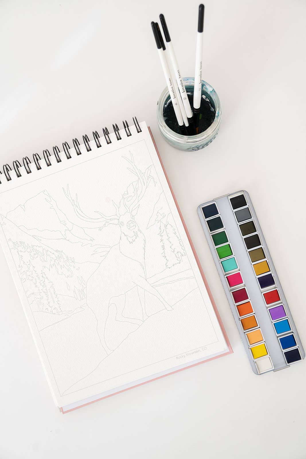 bailey rae studio | National Parks Watercoloring Book