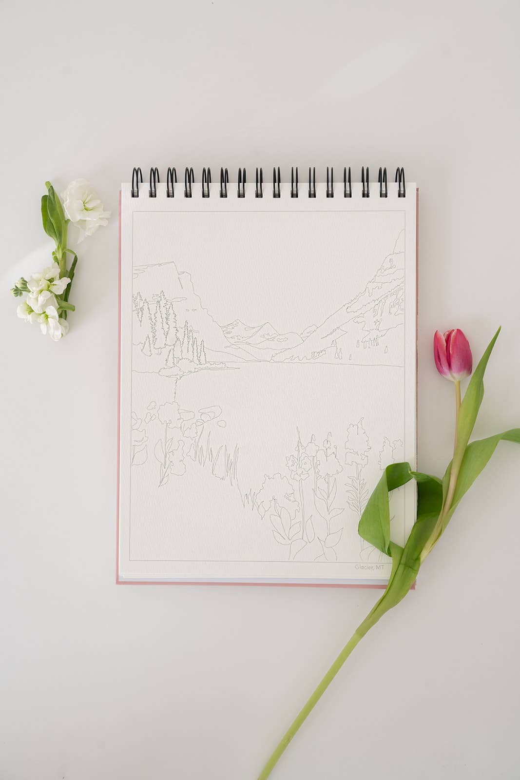 bailey rae studio | National Parks Watercoloring Book