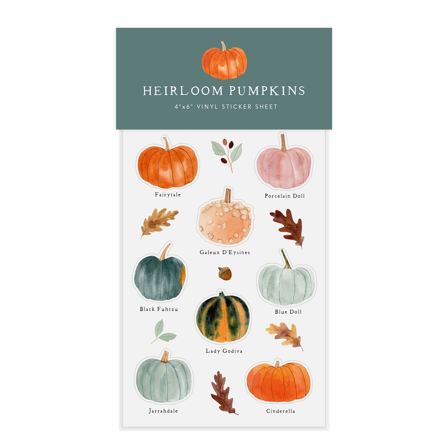 4'' x 6'' Heirloom Pumpkins Sticker Sheet