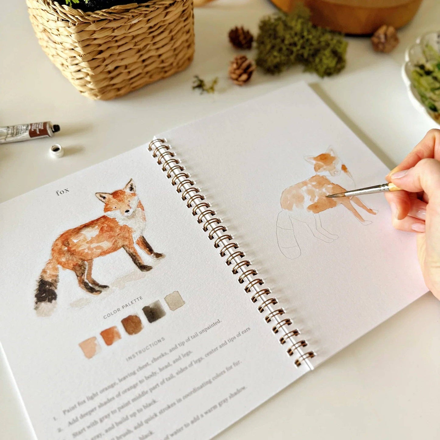 Emily Lex Studio | Woodland watercolor workbook