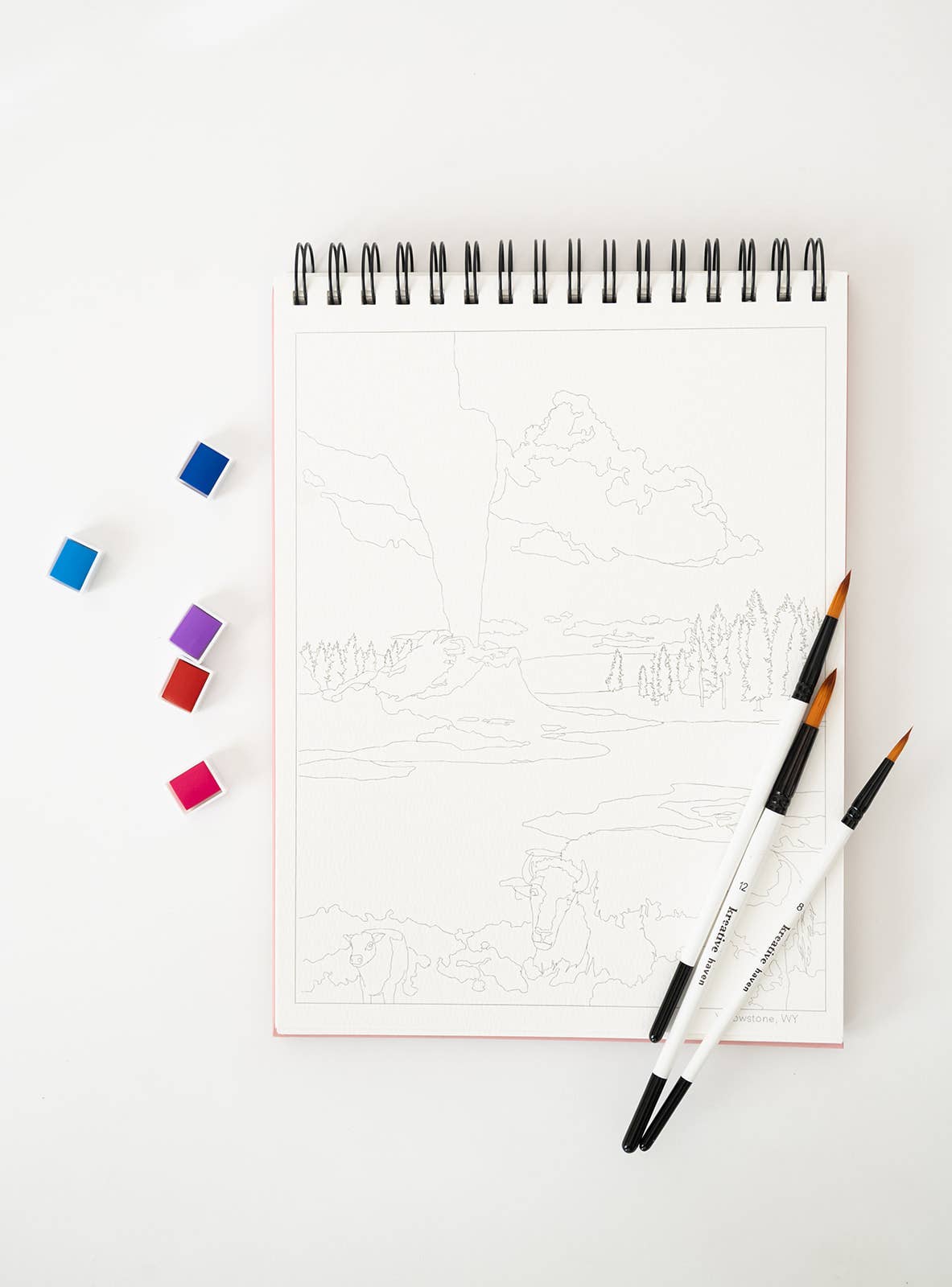 bailey rae studio | National Parks Watercoloring Book