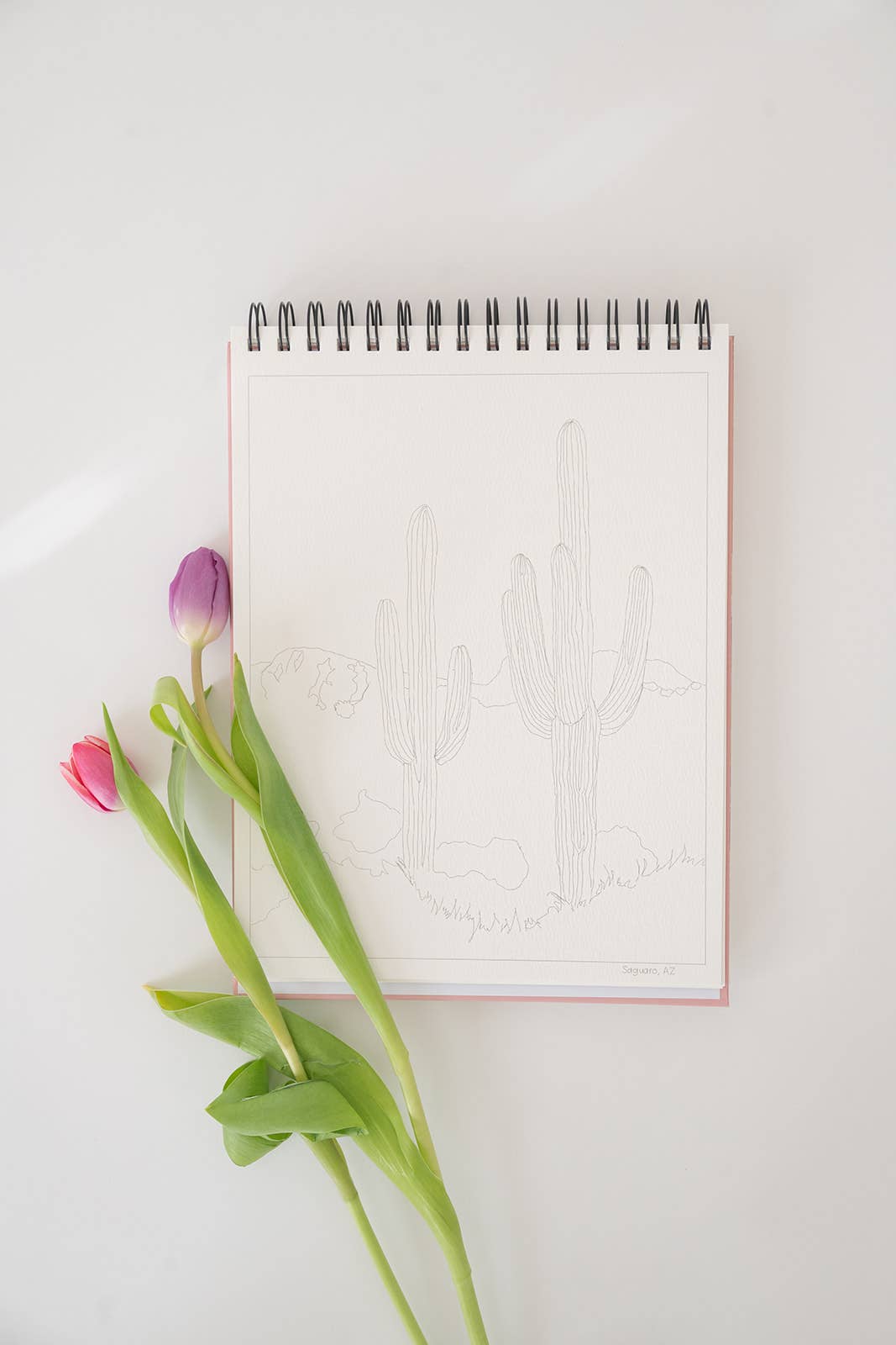 bailey rae studio | National Parks Watercoloring Book