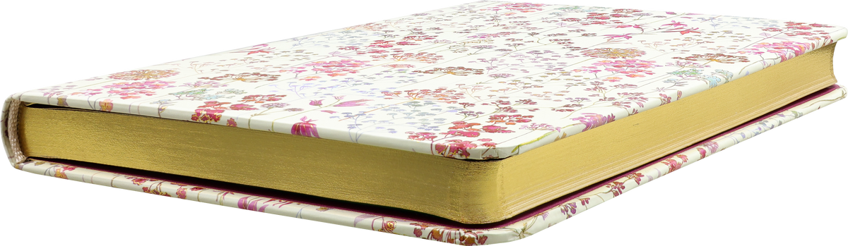 Wildflower Meadow Journal