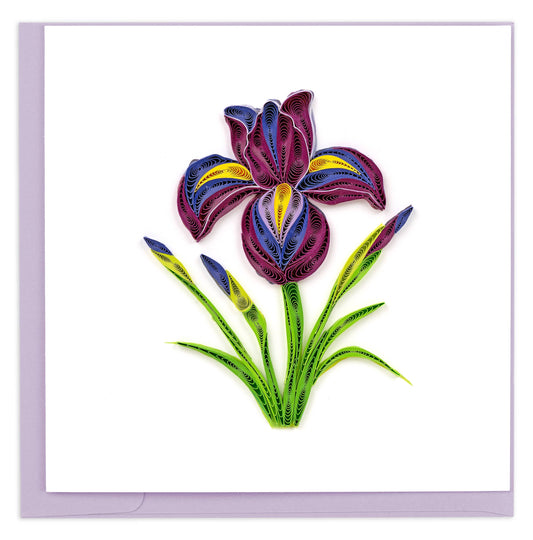 Quilling Card | Quilled Iris Greeting Card