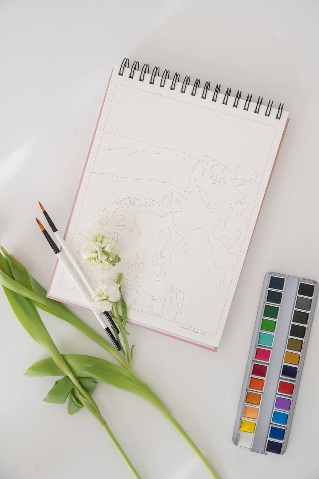 bailey rae studio | National Parks Watercoloring Book