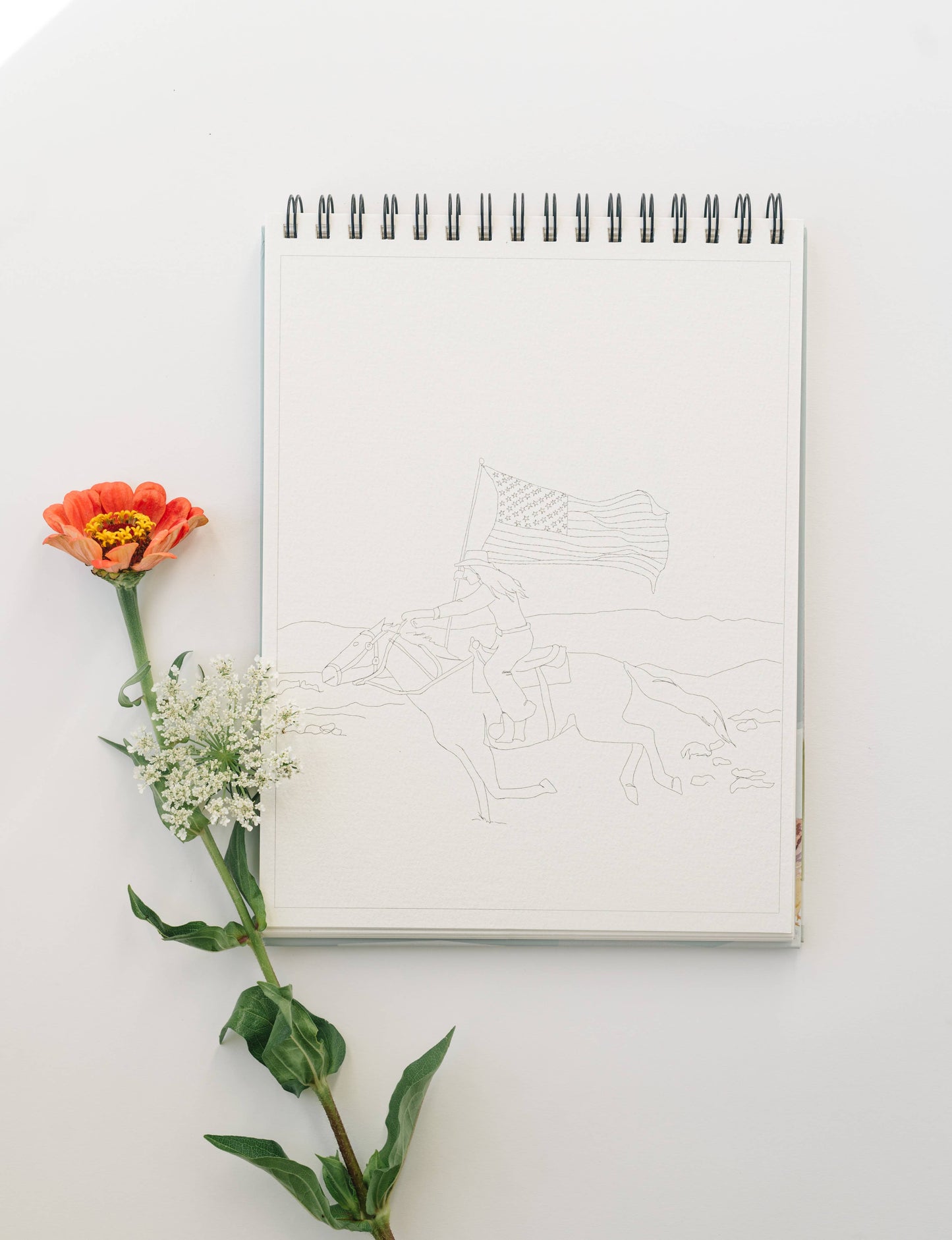 bailey rae studio | Country Life Watercoloring Book