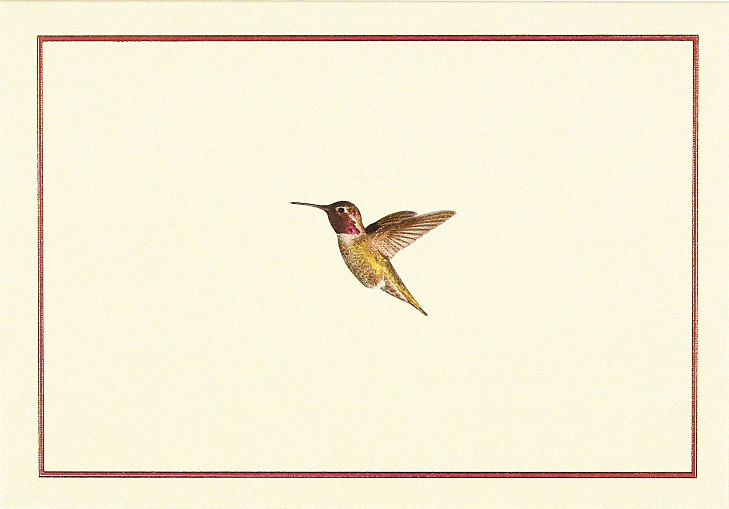 Peter Pauper Press | Hummingbird Flight Note Cards
