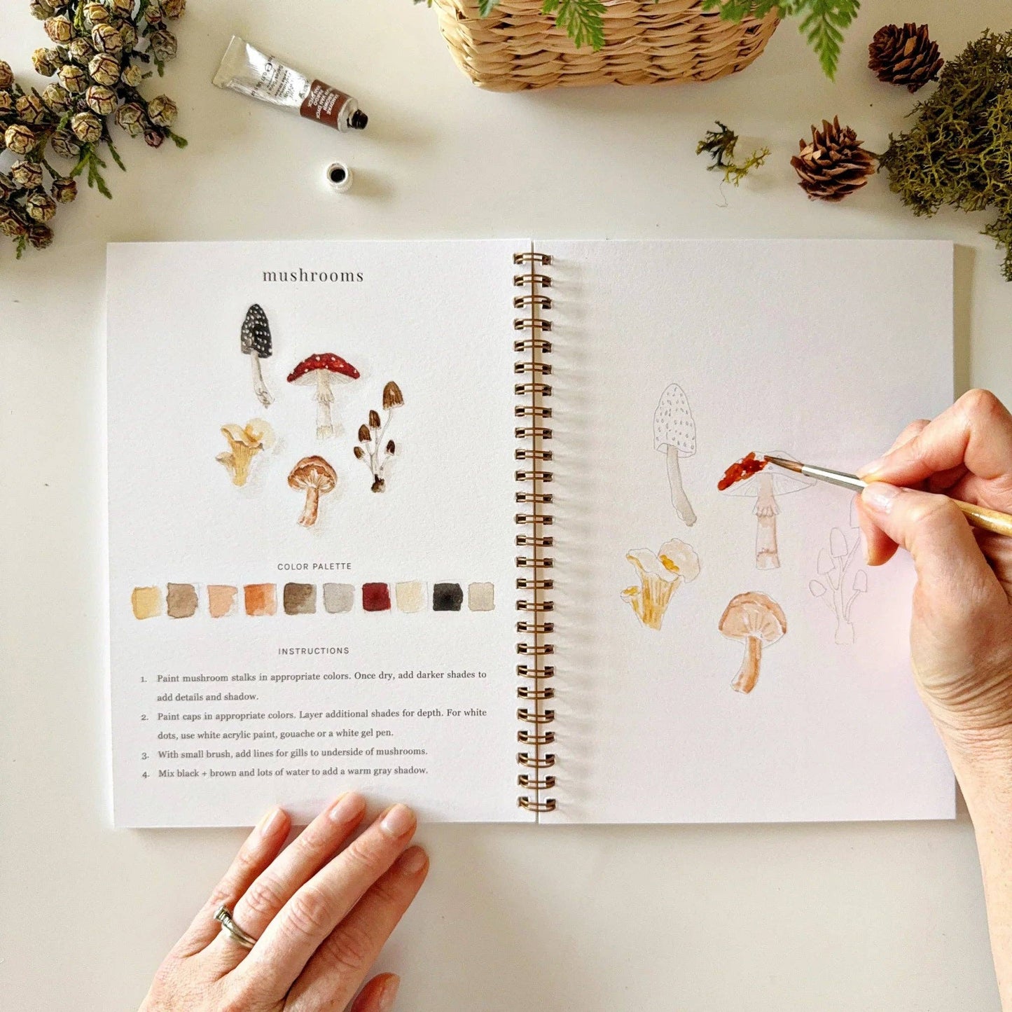Emily Lex Studio | Woodland watercolor workbook