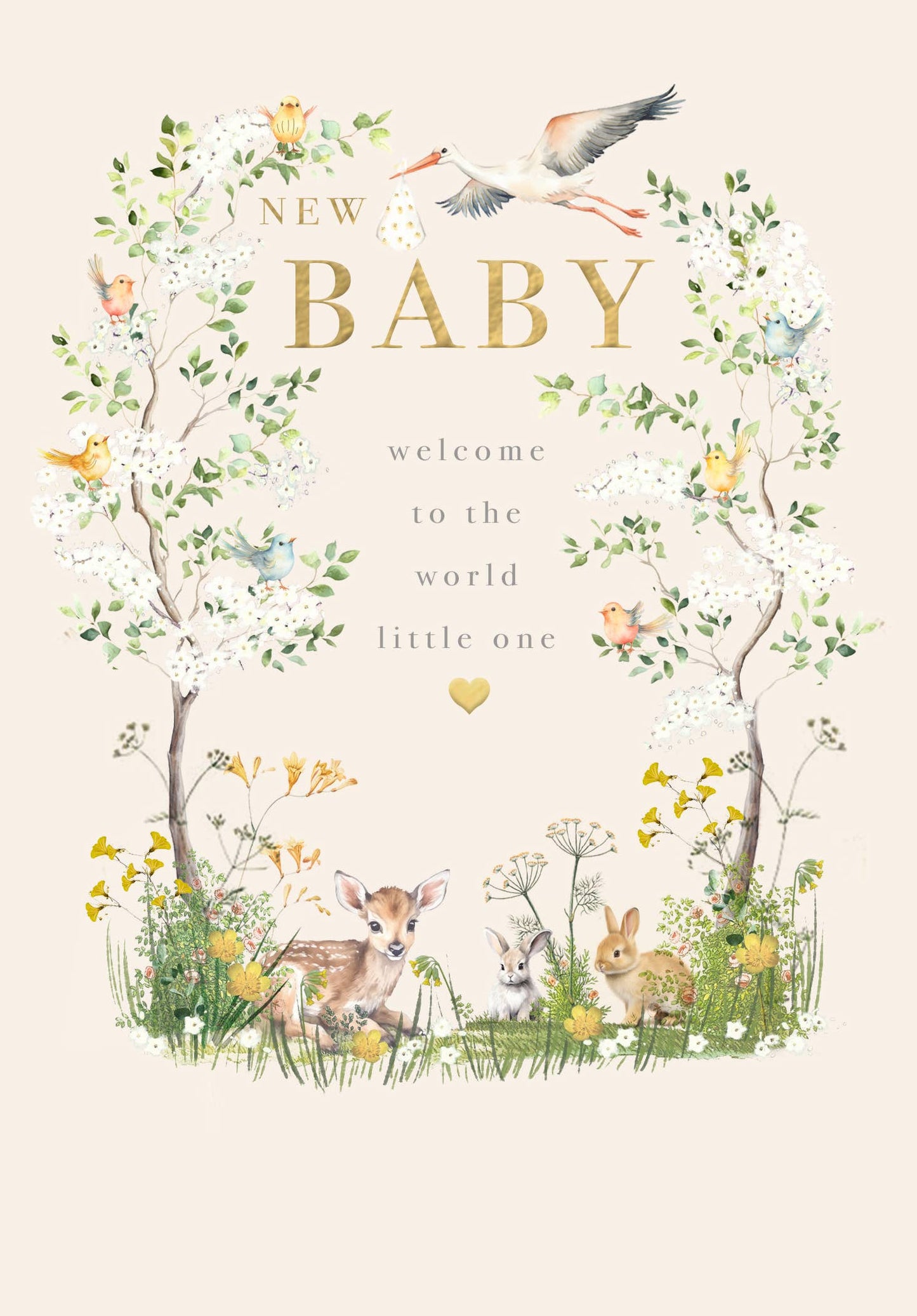 Abacus | New Baby Forest Greeting Card