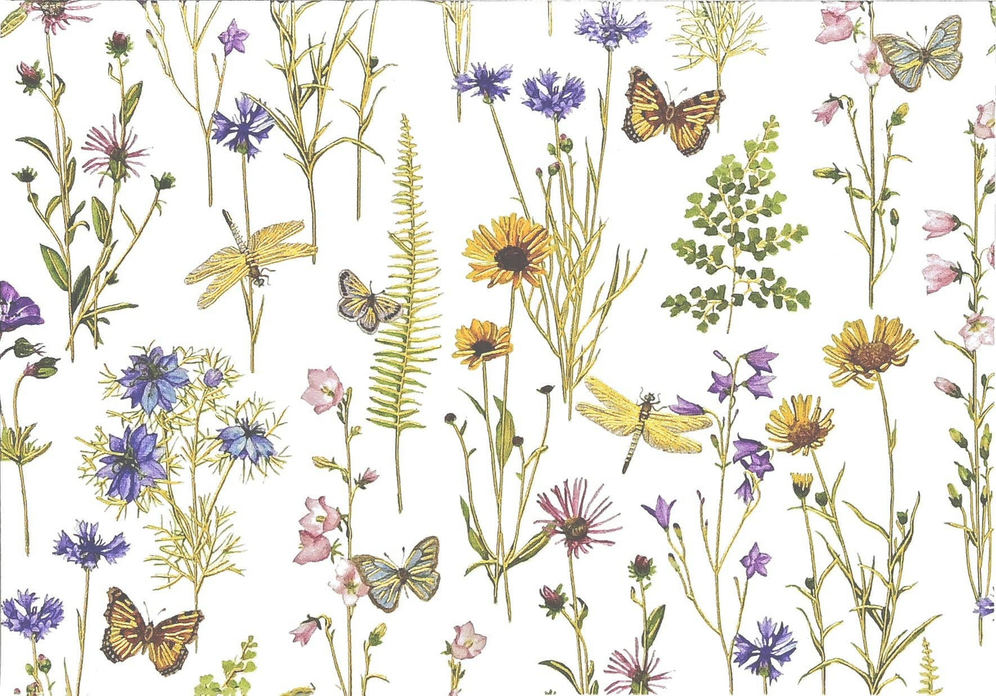 Peter Pauper Press | Wildflower Garden Note Cards