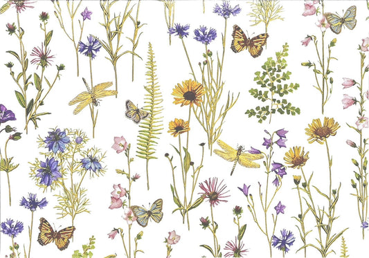 Peter Pauper Press | Wildflower Garden Note Cards