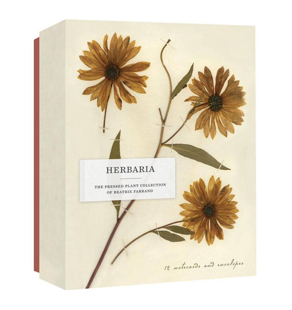 Herbaria | Pressed Plant Notecard Collection