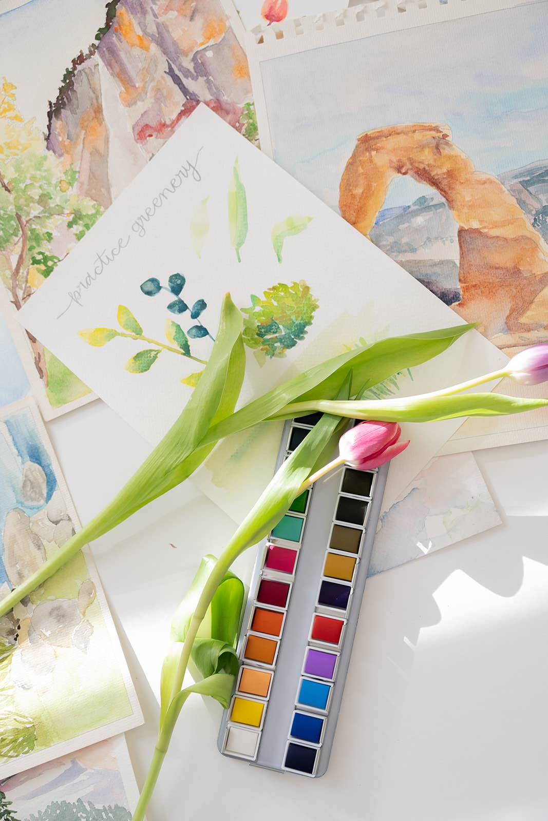 bailey rae studio | National Parks Watercoloring Book