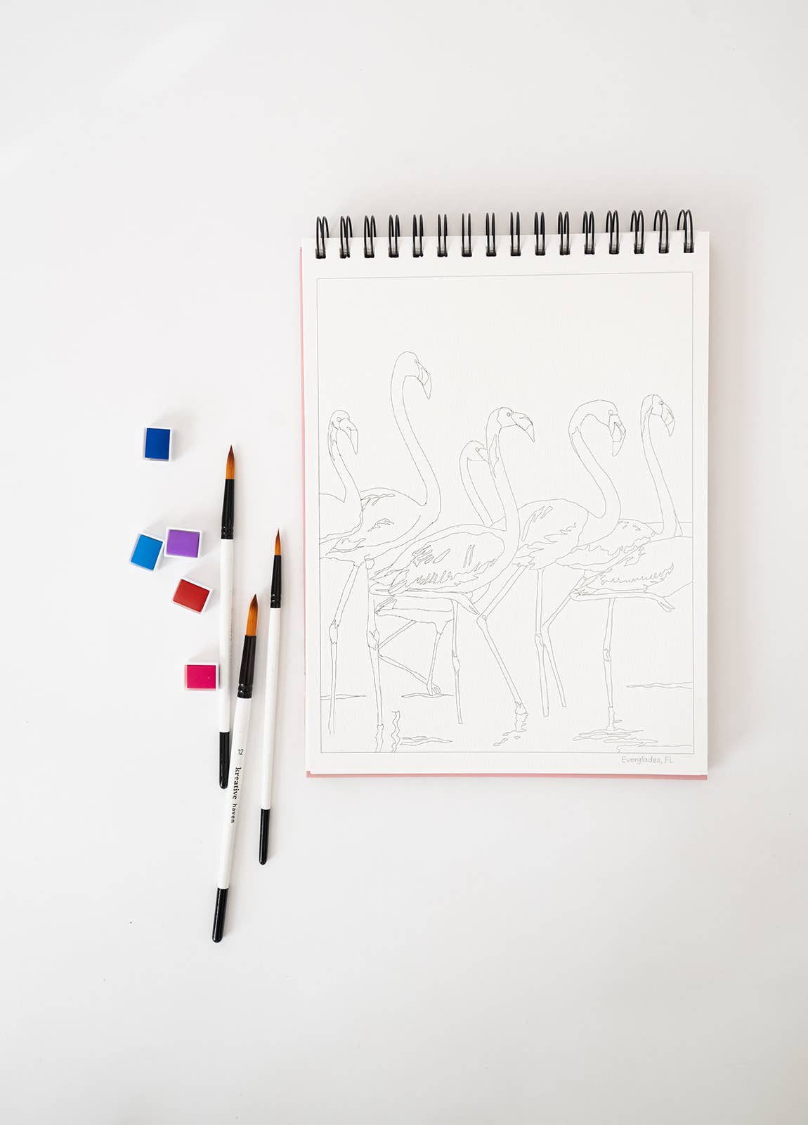 bailey rae studio | National Parks Watercoloring Book