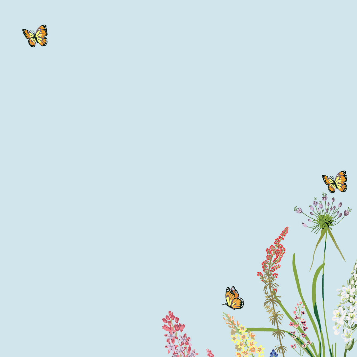 Peter Pauper Press | Blooms & Butterflies Desk Notes