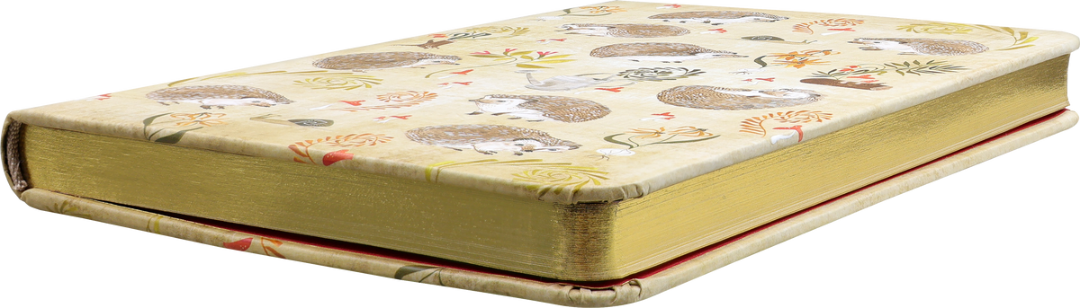 Hedgehogs Journal