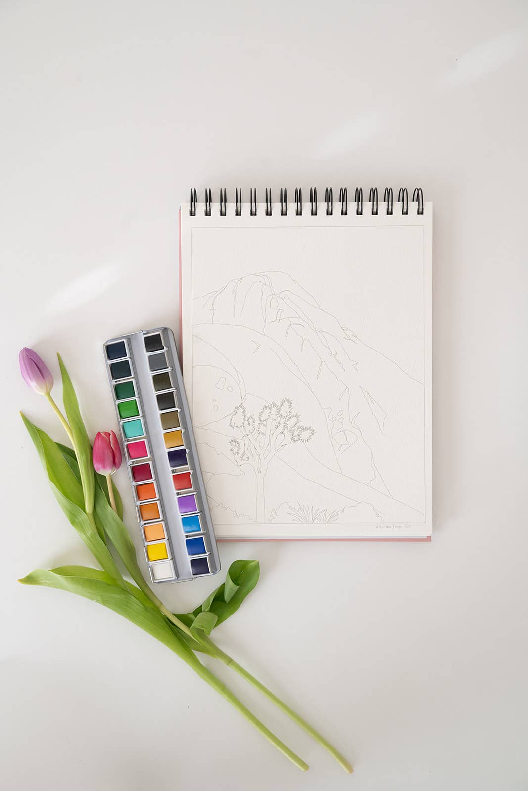 bailey rae studio | National Parks Watercoloring Book