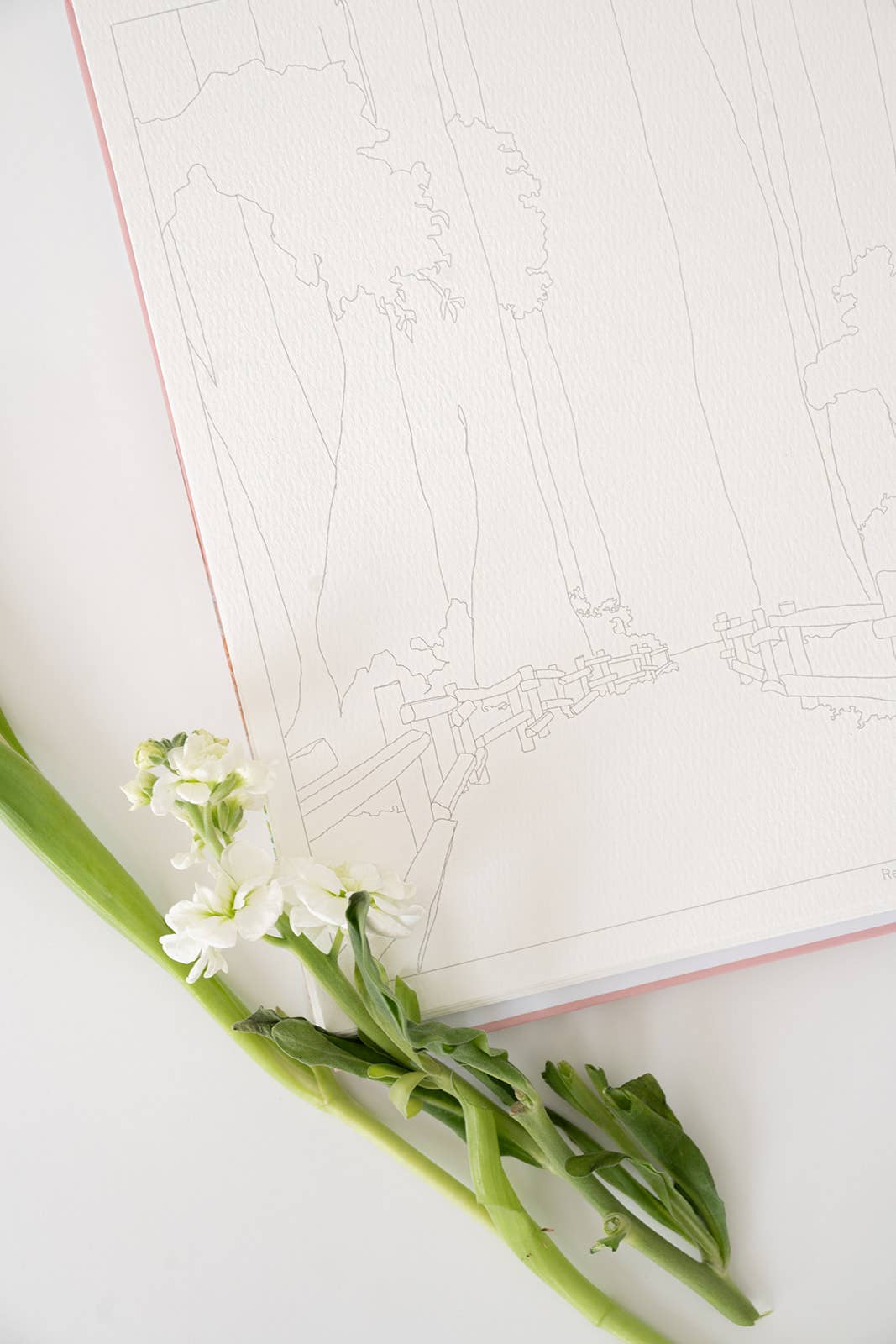 bailey rae studio | National Parks Watercoloring Book