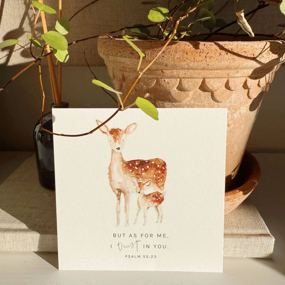 Truth for Today Psalms Cards | Emily Lex Studio