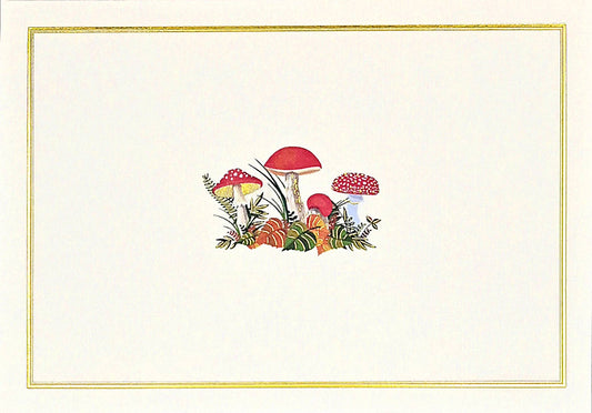 Peter Pauper Press | Mushrooms Note Cards