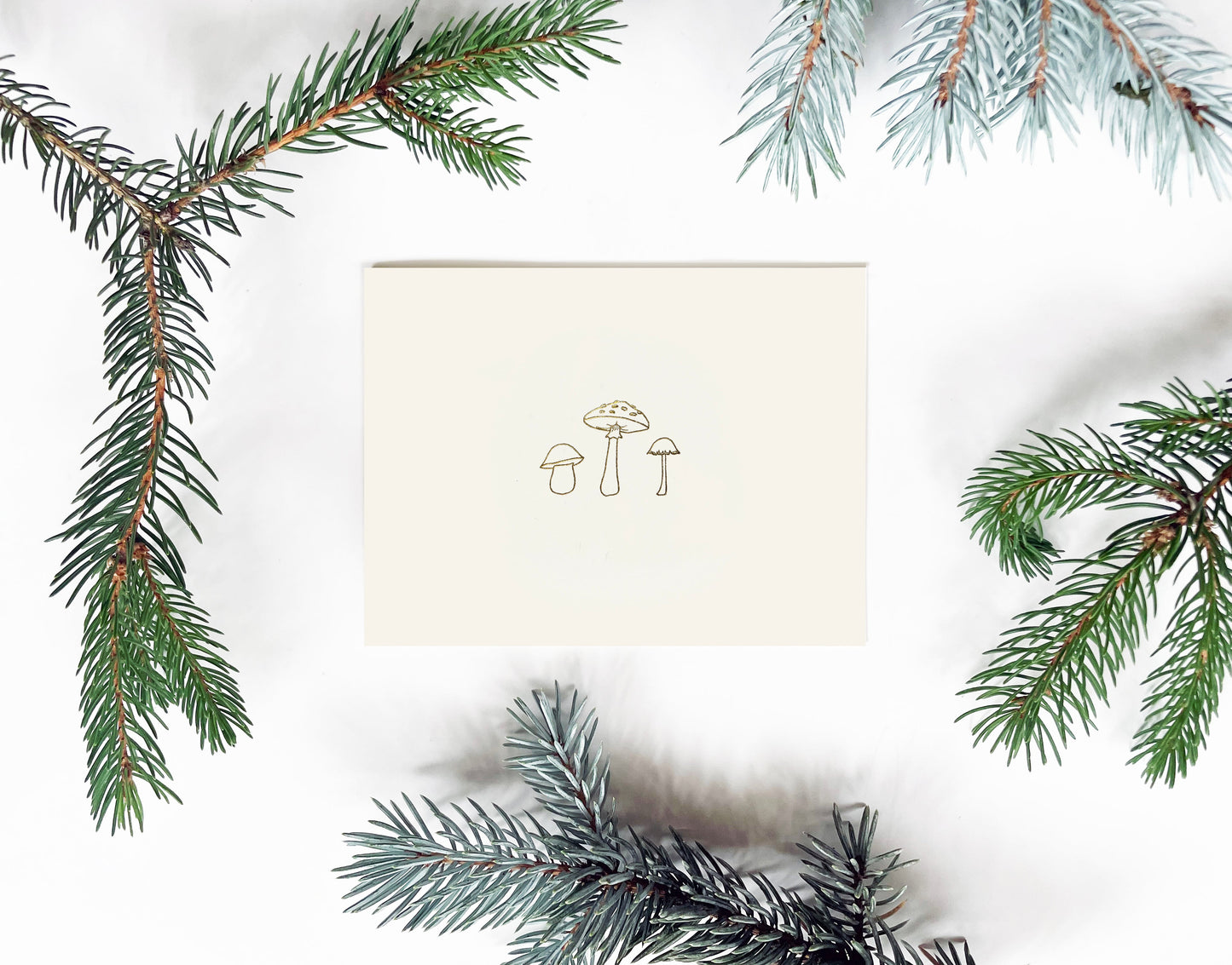 Mushroom Trio Letterpress Greeting Card