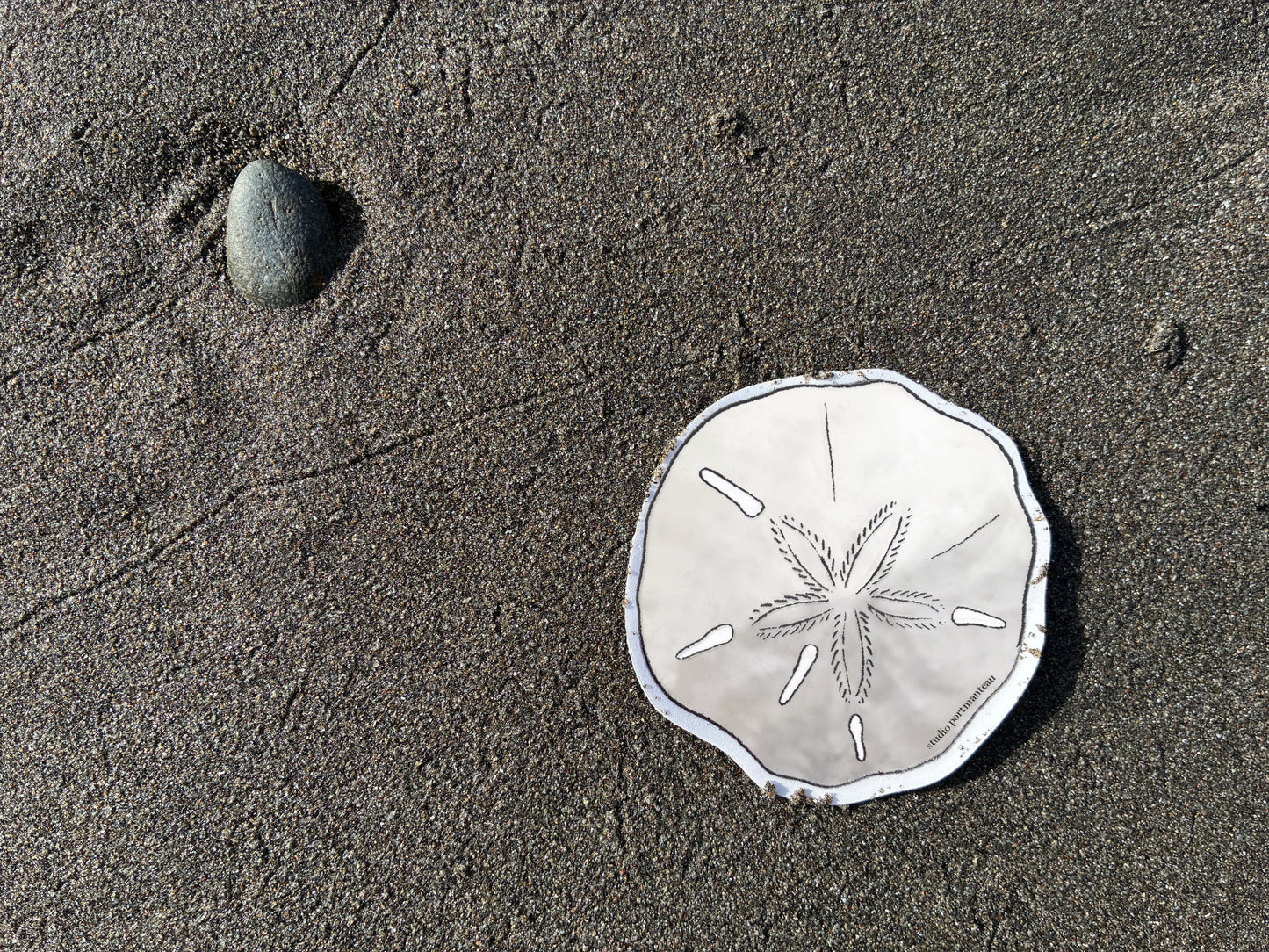 Sand Dollar Vinyl Sticker