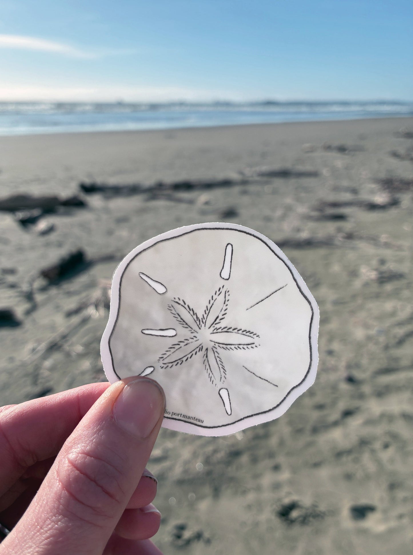 Sand Dollar Vinyl Sticker