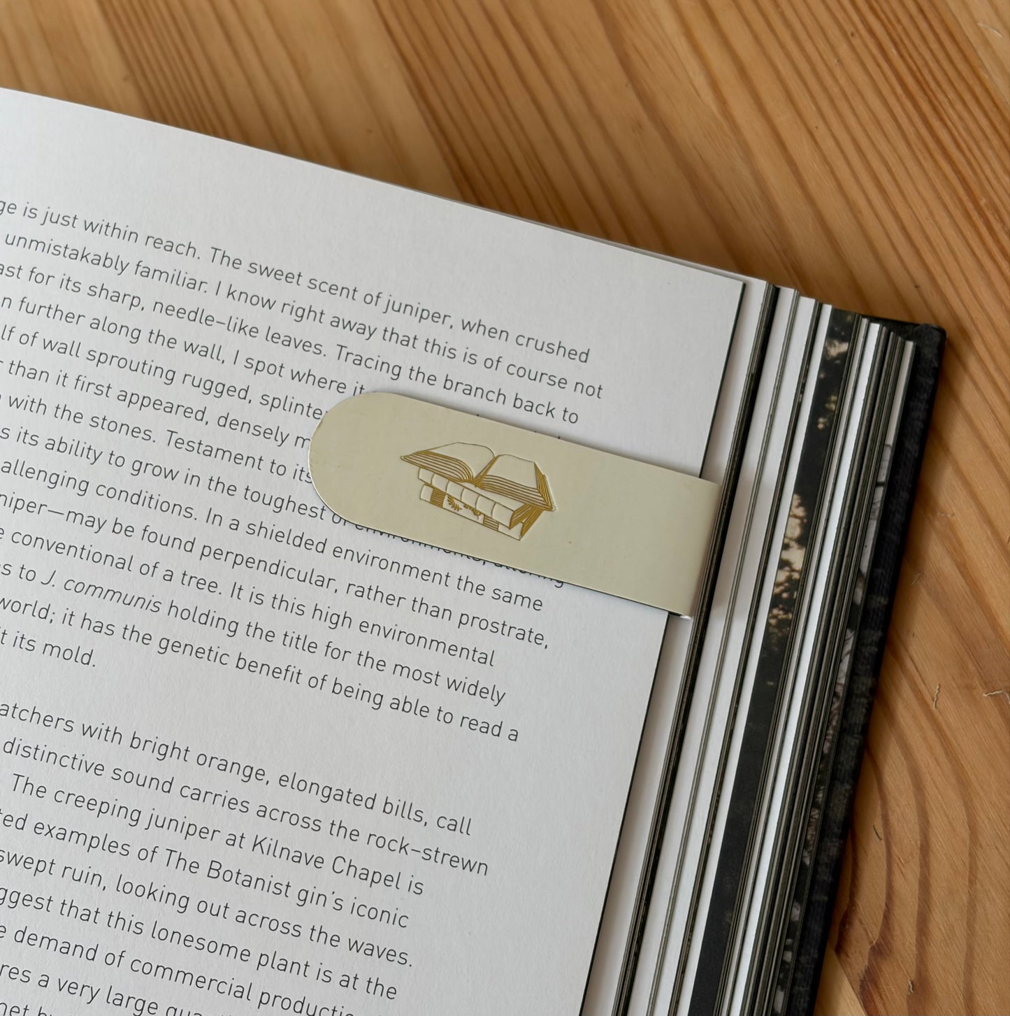Book Lover Foil Embossed Magnetic Bookmark | Gold on Ivory