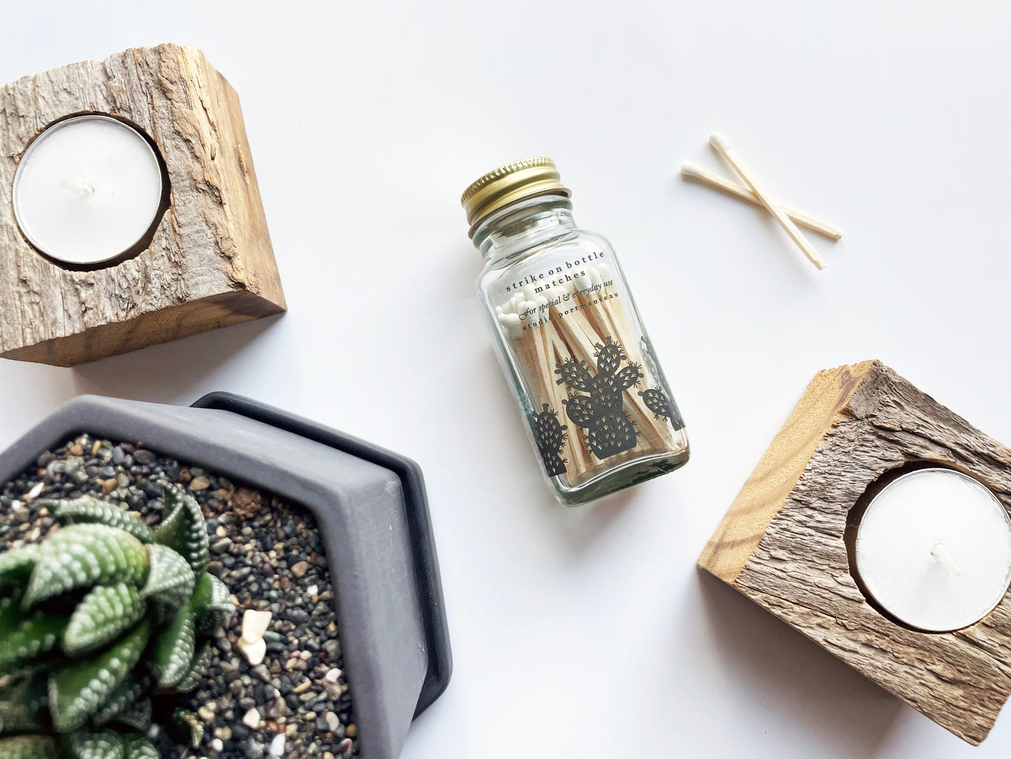 Prickly Pear Cactus 2" White Match Jar