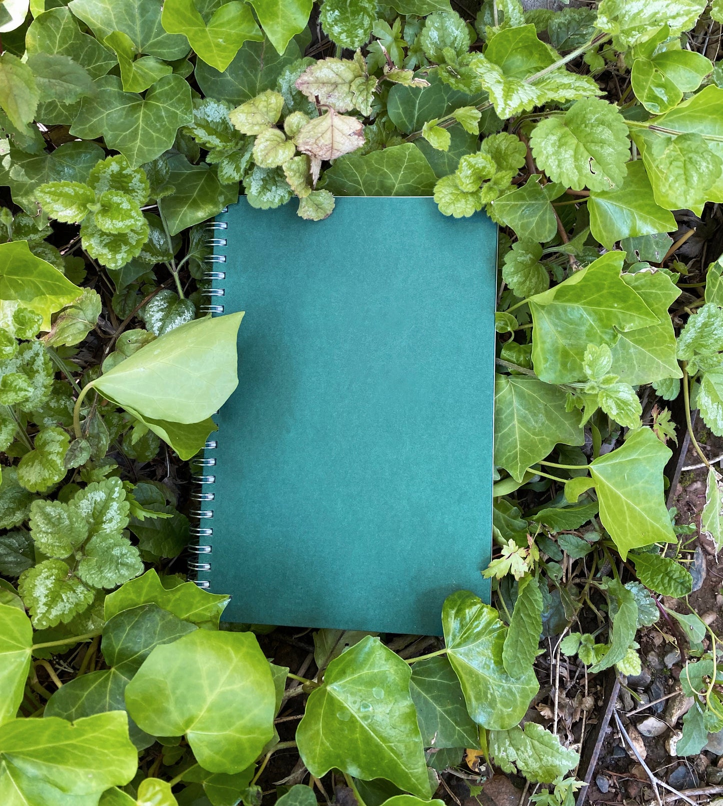 Forest Green Hardcover Spiral Notebook