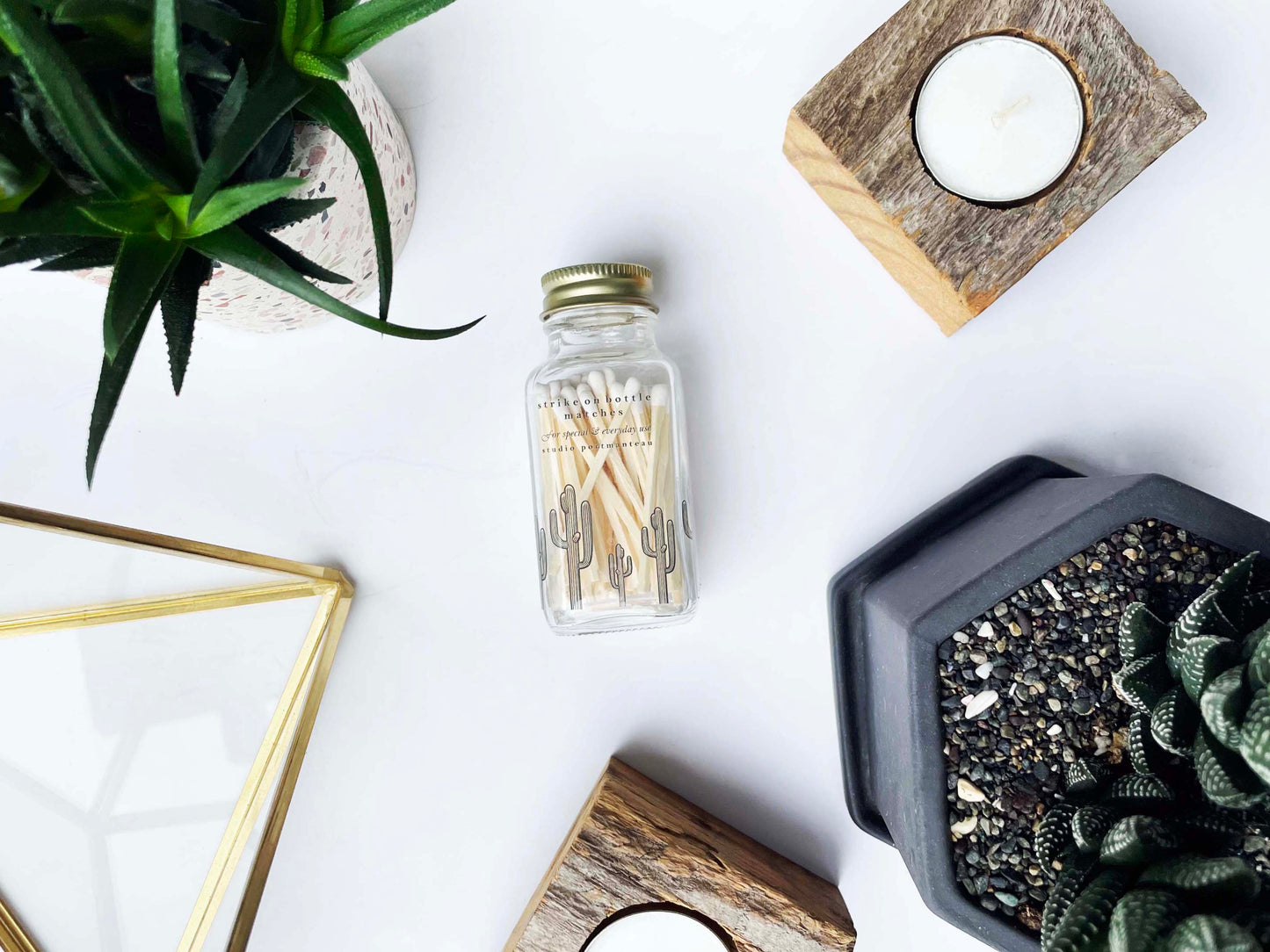 Saguaro Cactus 2" White Match Jar