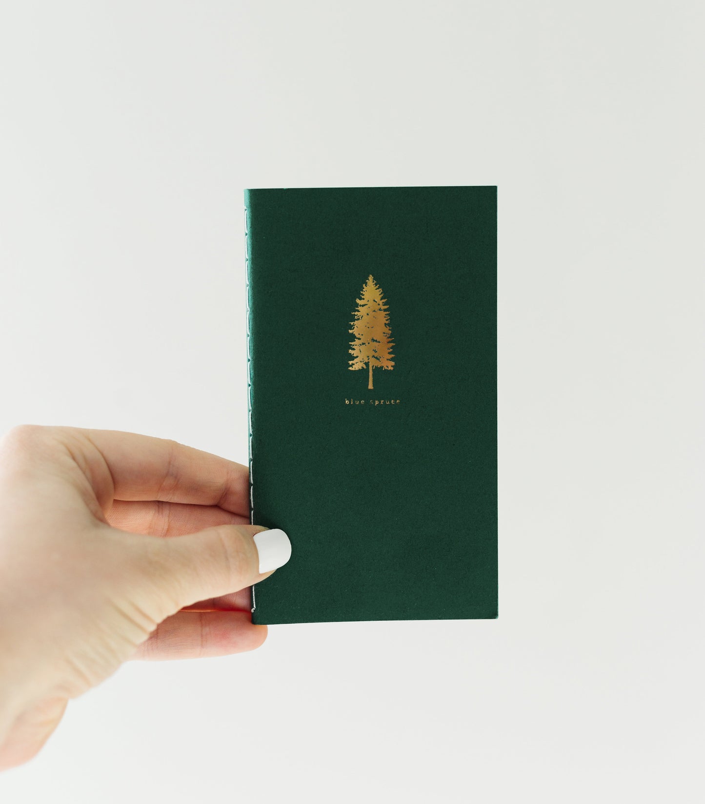 Blue Spruce Mini Saddle Stitch Notebook | Pine Tree Notebook
