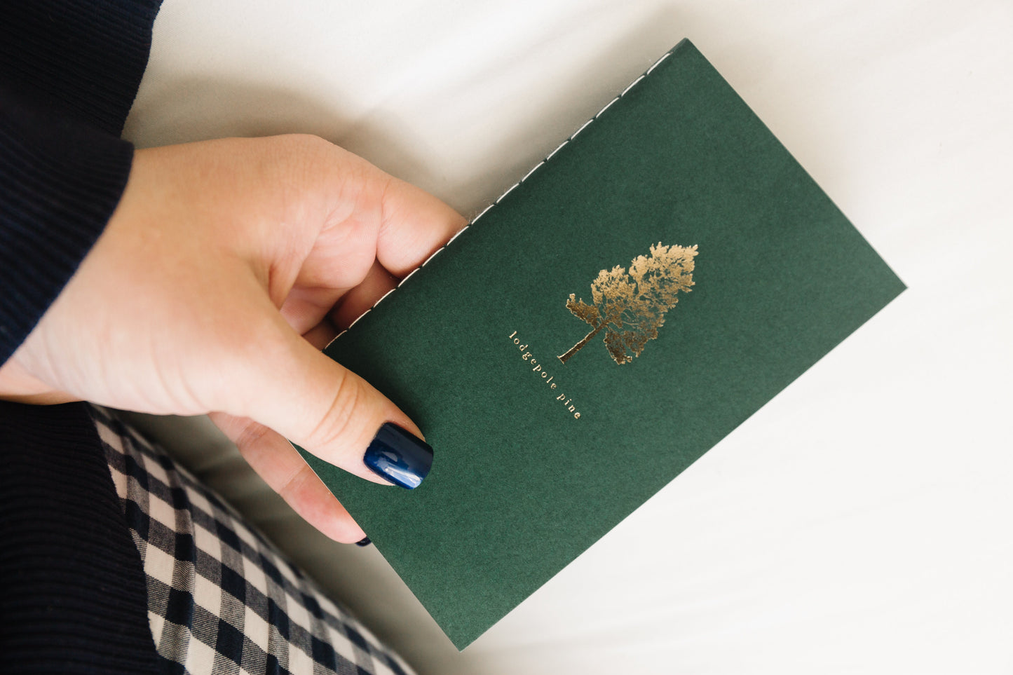 Blue Spruce Mini Saddle Stitch Notebook | Pine Tree Notebook