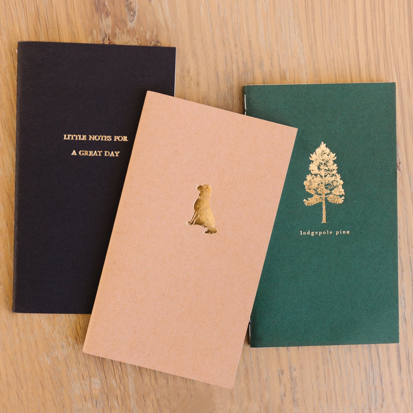 Snow Capped Mountains Mini Saddle Stitch Notebook