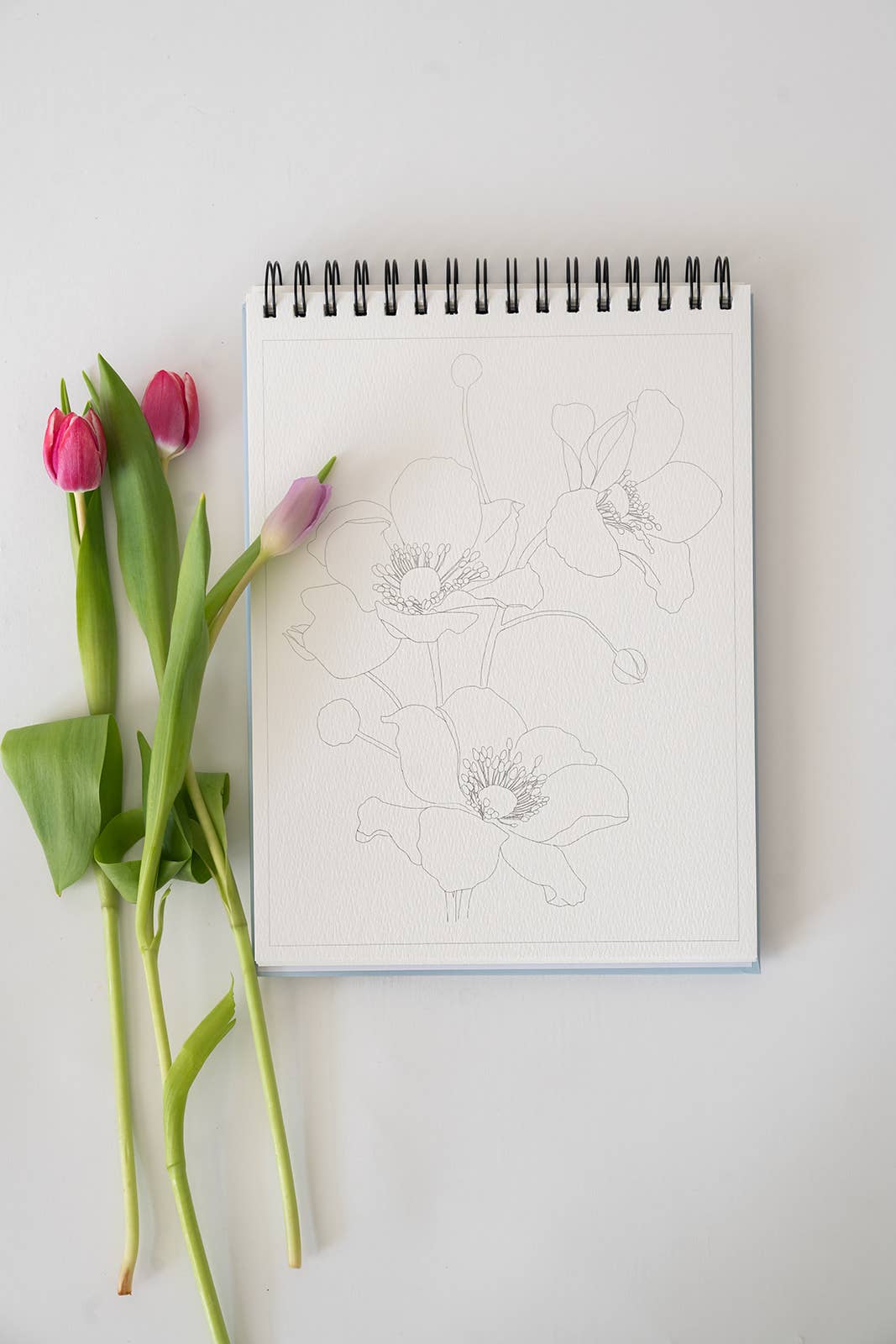 bailey rae studio | Floral Watercoloring Book
