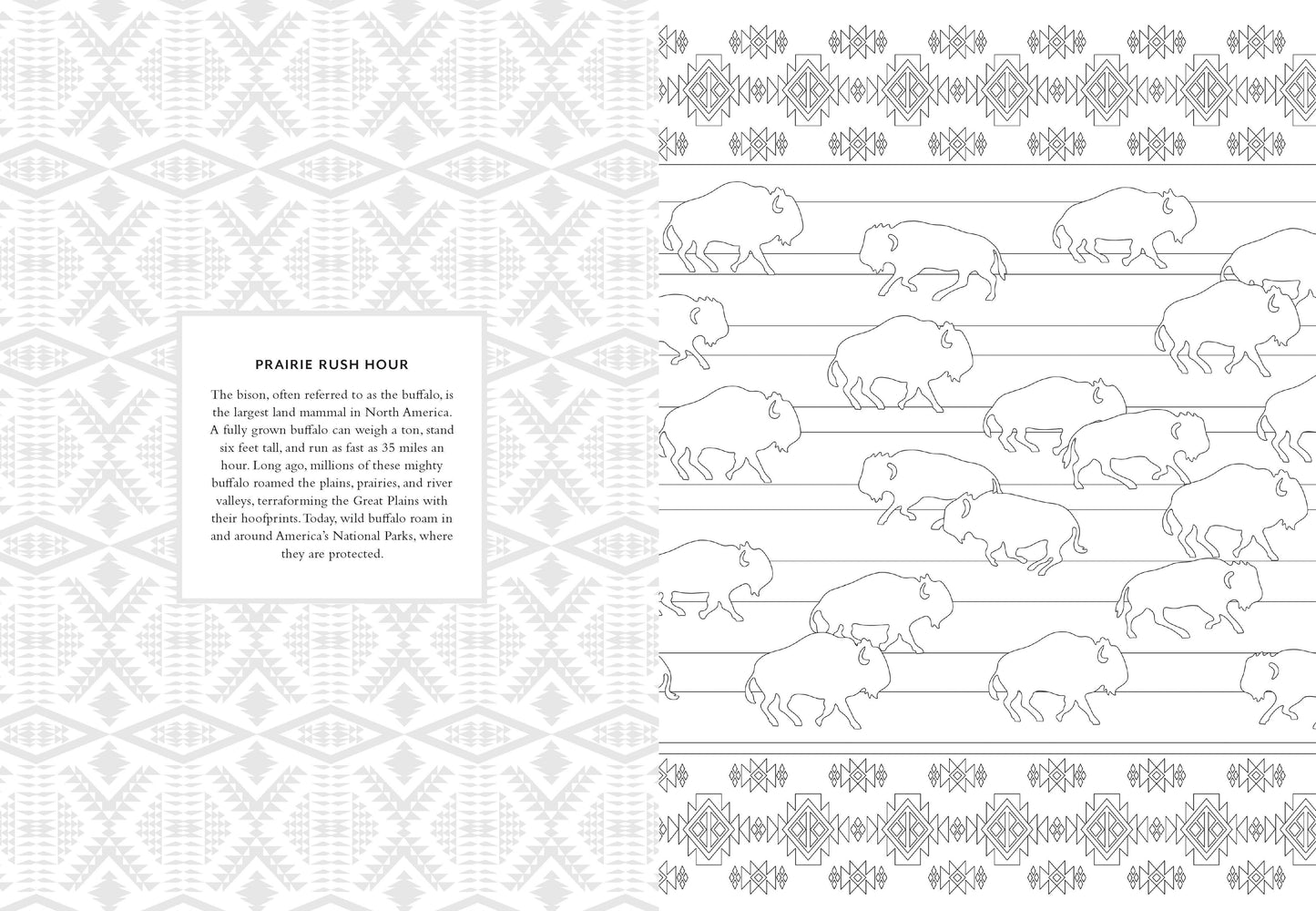 Pendleton Coloring Book
