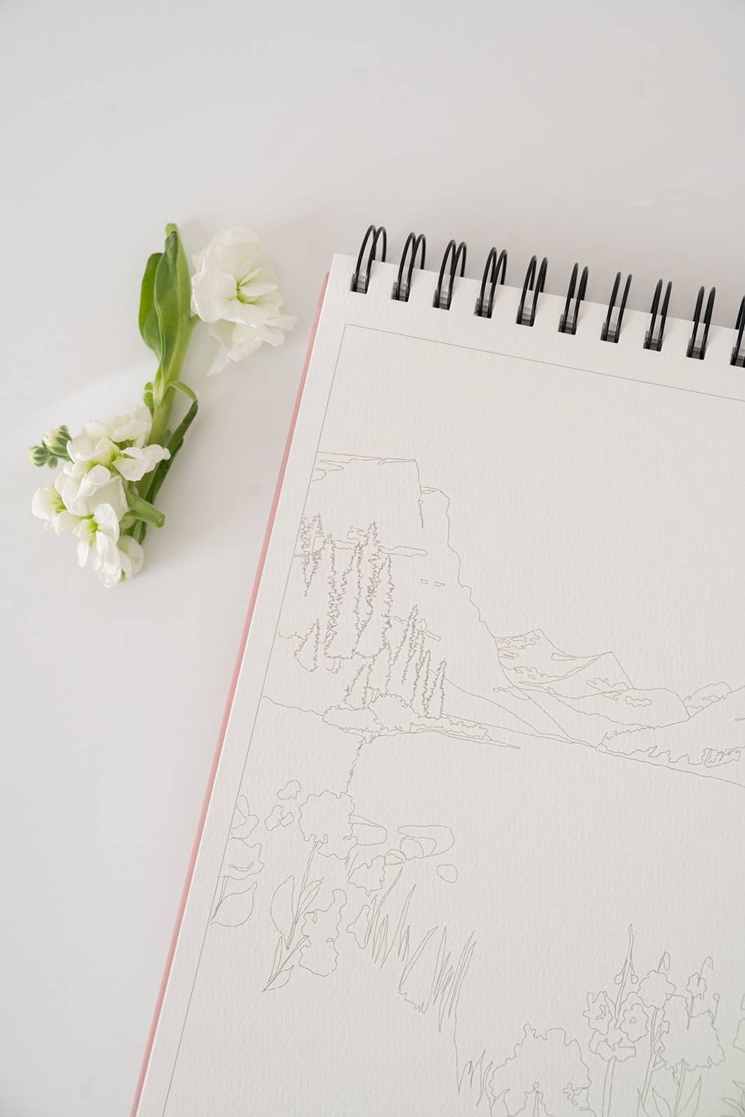 bailey rae studio | National Parks Watercoloring Book