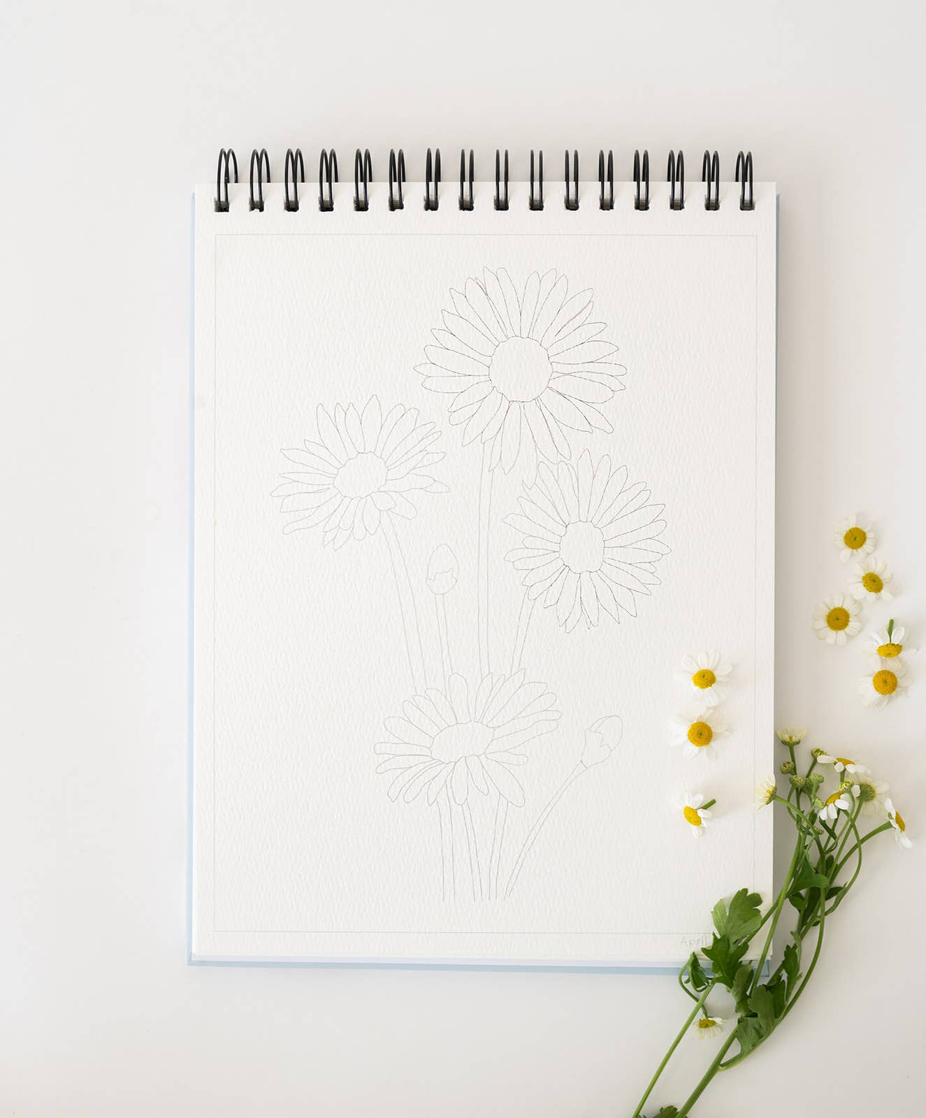 bailey rae studio | Floral Watercoloring Book