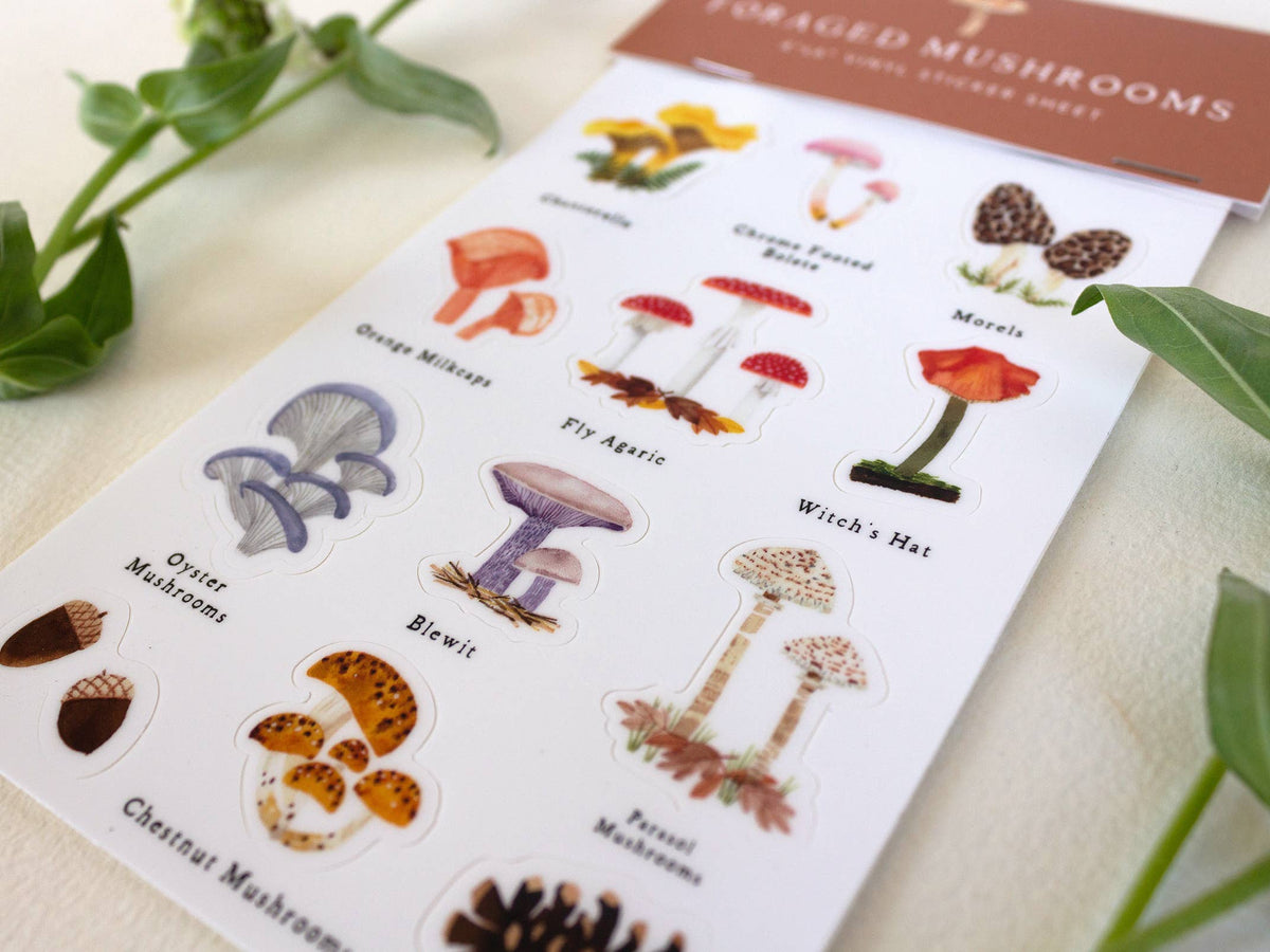 4'' x 6'' Foraged Mushroom Sticker Sheet