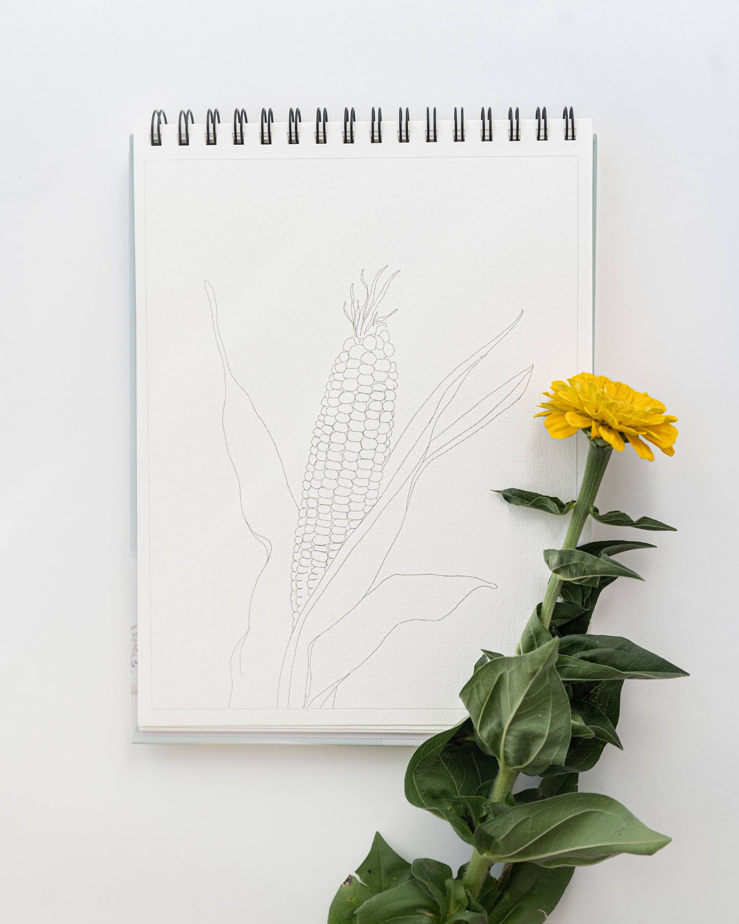 bailey rae studio | Country Life Watercoloring Book