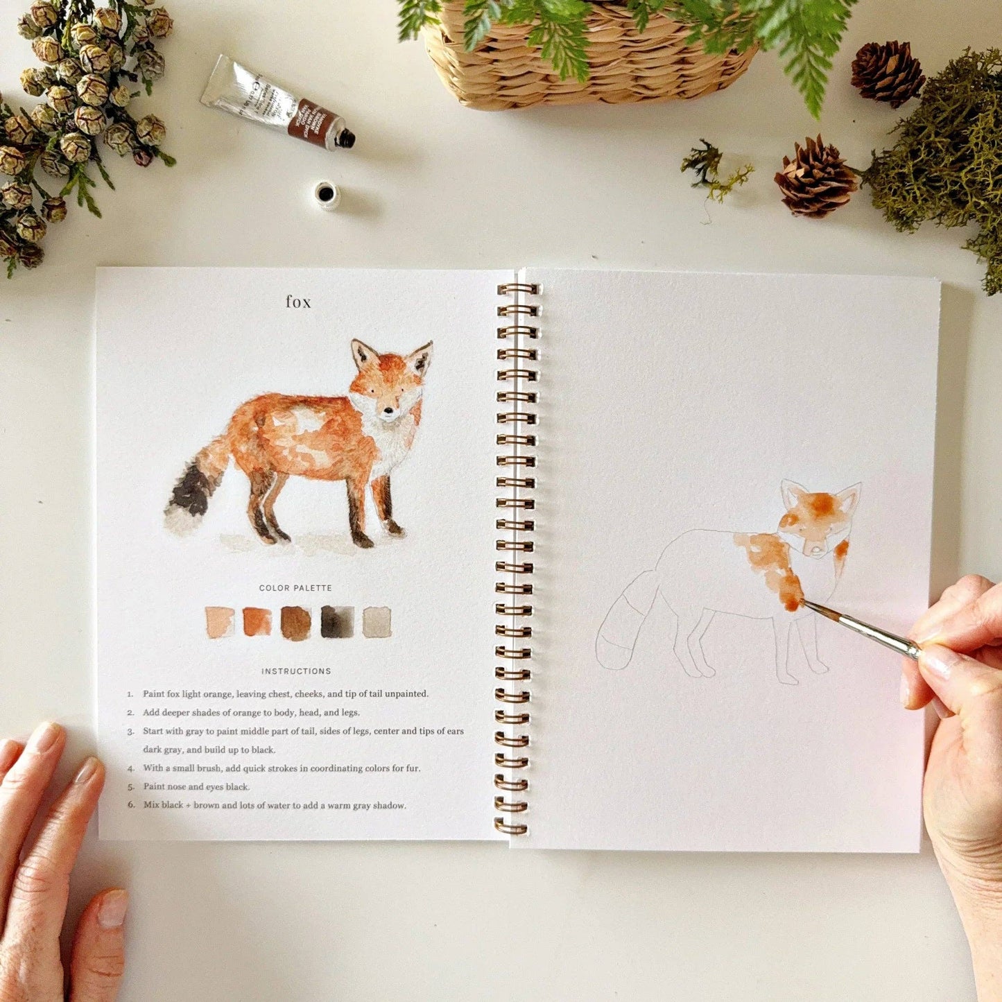 Emily Lex Studio | Woodland watercolor workbook
