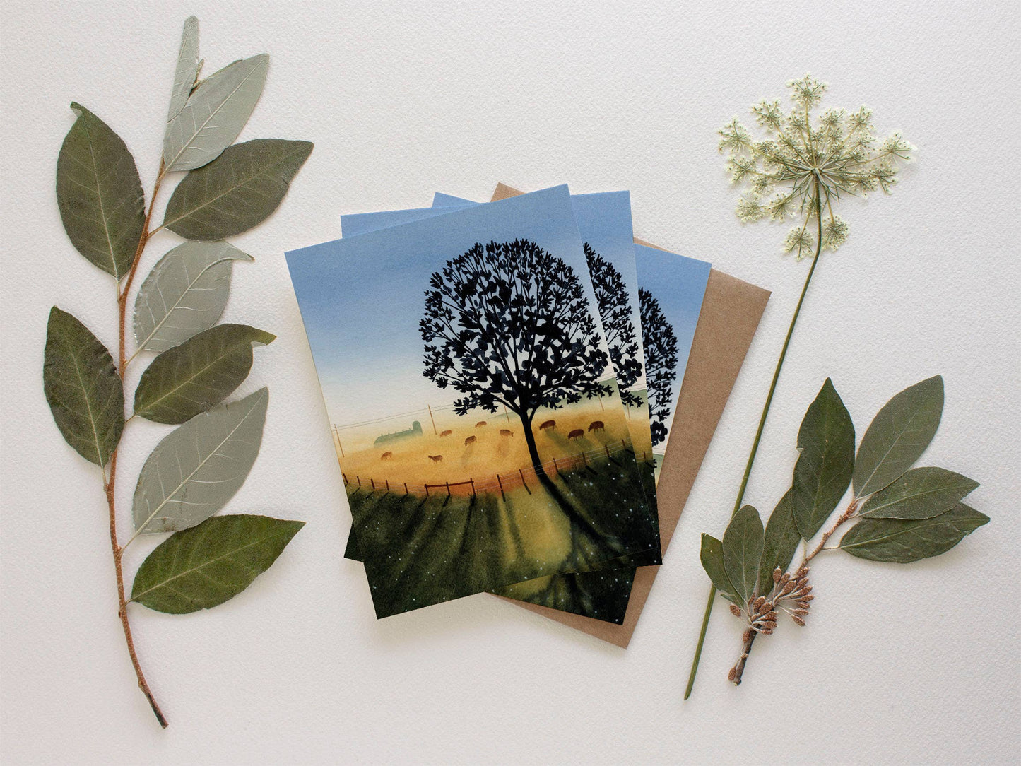 Golden Hour Greeting Card | May We Fly