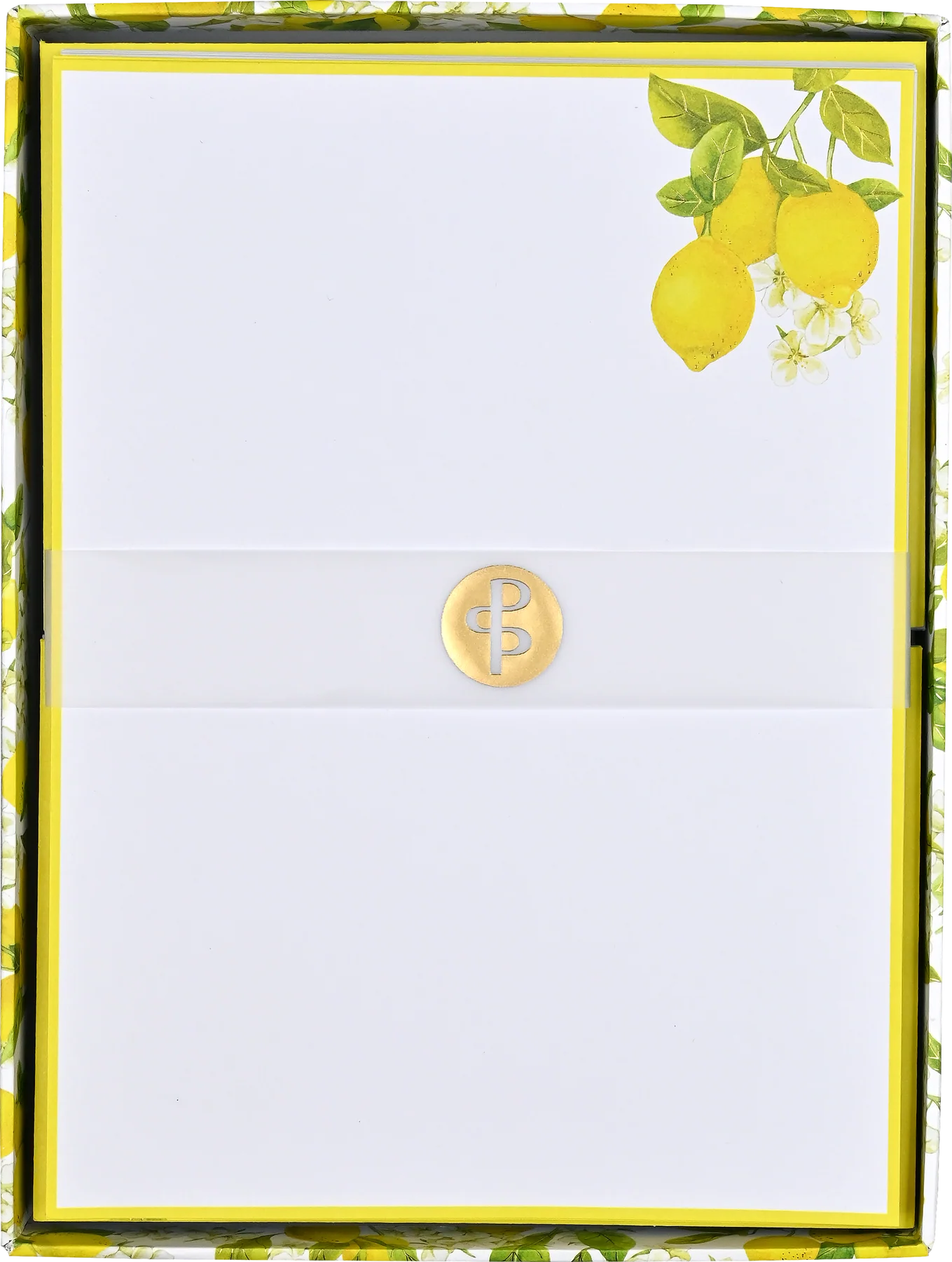 Peter Pauper Press | Amalfi Lemons Boxed Stationery
