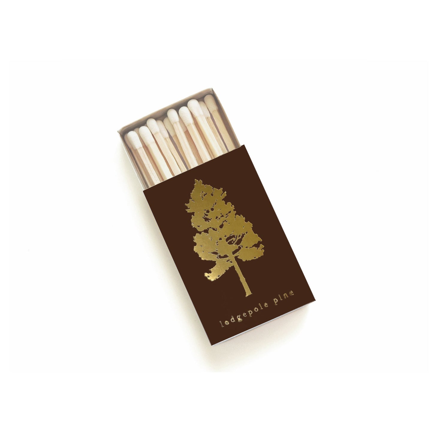 Lodgepole Pine Tree Gold Foil Matchbox