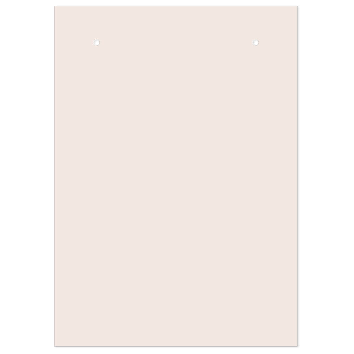 Lady Jayne | Bow Top Bound Notepad in Blush