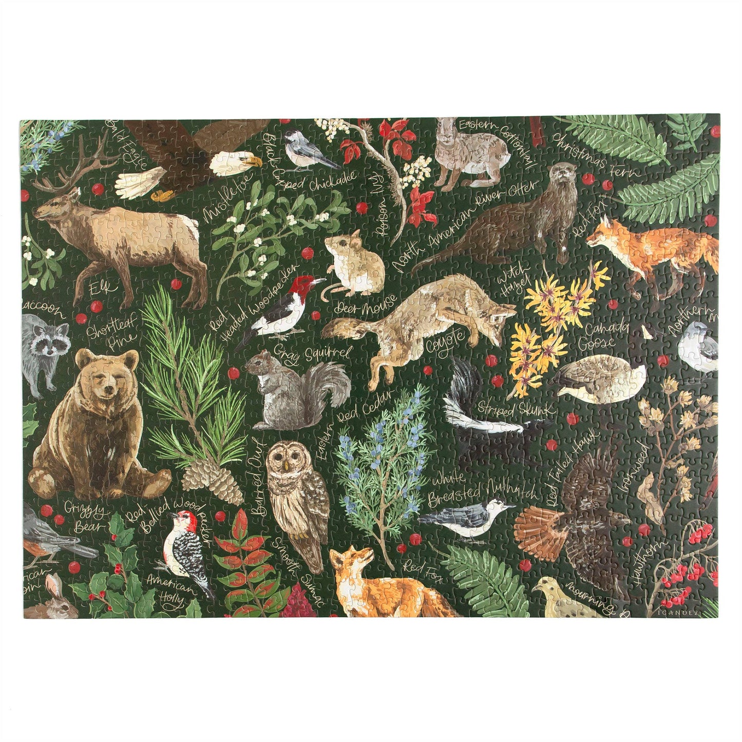 1canoe2 | One Canoe Two Paper Co. - Winter Flora & Fauna - 1,000 Piece Jigsaw Puzzle